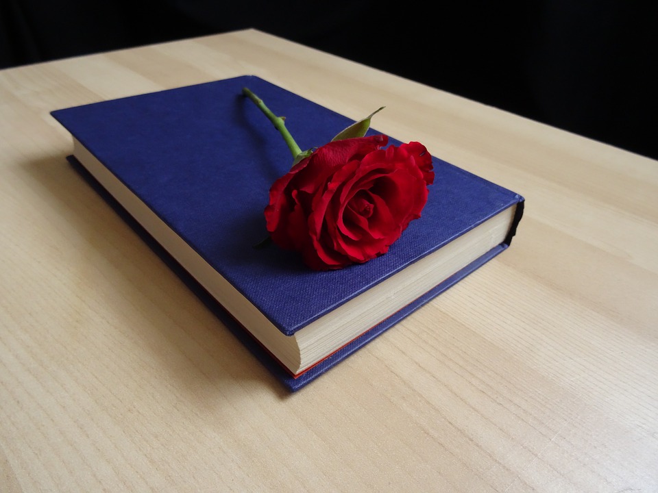 romance book